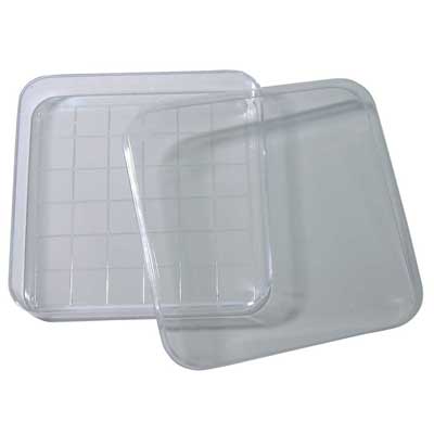 Plat carré avec couvercle quadrillé 10/pqt